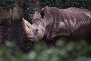 千葉市のビジネスホテル【東横INN千葉幕張】詳細ガイドと宿泊の魅力