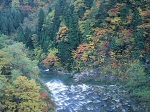 長崎駅前の快適な滞在を実現する東横INN長崎駅前｜ビジネス・観光に便利な高品質ホテル
