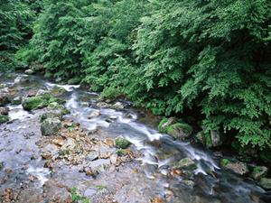 家族で楽しむ石垣島アクティビティ完全ガイド！子供も大満足の安全プランを徹底紹介