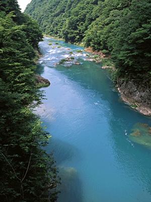 四国へフェリーで行きたい方へおすすめ