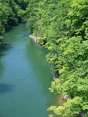 奈良のビジネス利用や観光に最適！東横INN奈良王寺駅南口の魅力と詳細情報