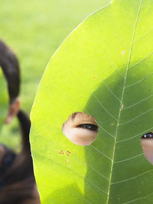 金箔を製造・販売する金沢の老舗企業