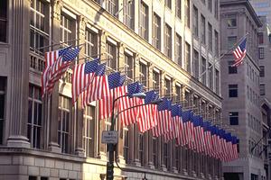 各地にある癒しのハリネズミカフェ