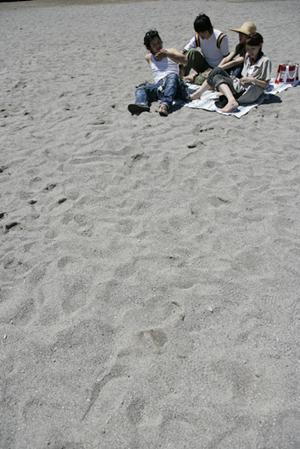 東京観光バスツアーは専用の旅行業者で探す