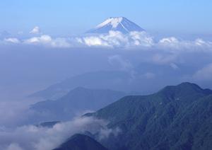 和歌山駅東口から徒歩わずか4分！快適な宿泊体験を提供する東横INNJR和歌山駅東口の魅力と特徴