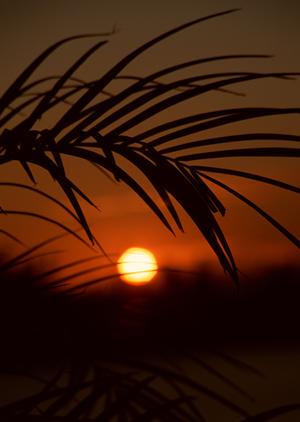 徳島駅から徒歩9分のビジネスホテル｜東横INN徳島駅眉山口の魅力と詳細情報