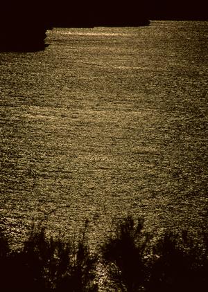 上質な美味しい料理を食べられる旅館について