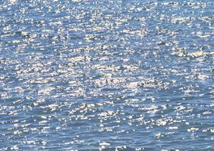 北海道・札幌市に位置するビジネスホテル「東横INN札幌駅西口北大前」：快適な滞在と便利なアクセスを実現