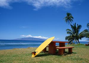 動物に直接触れることが出来る移動動物園