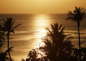 神奈川県横浜市新横浜駅から徒歩わずか4分｜東横INN新横浜駅前新館の魅力と詳細情報