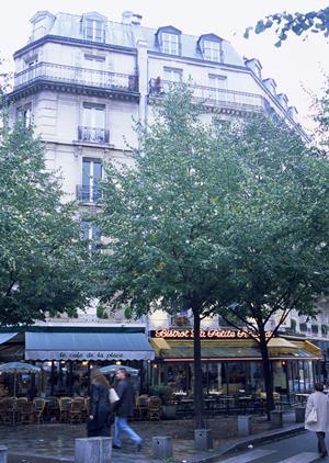 大邱で快適な滞在を実現！東横INN大邱東城路の魅力と便利な施設情報