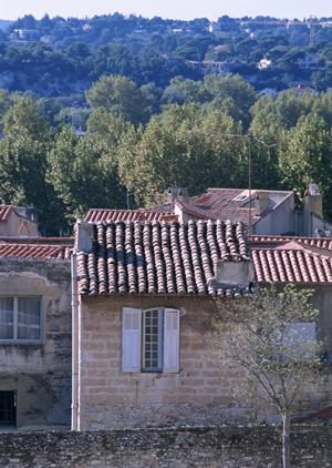 ブータン旅行を計画している方に