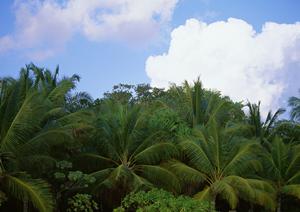 富山県高岡市の便利なビジネスホテル-東横INN新高岡駅新幹線南口の魅力と特徴