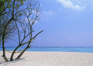 小豆島へ観光するならこちらを利用しよう