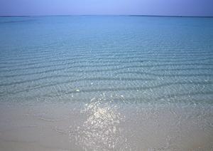 伝統工芸から絶景まで！金沢で楽しむ最高の体験プラン完全ガイド