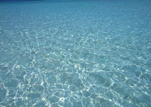 池袋駅徒歩4分の快適なビジネスホテル｜東横INN池袋北口1の魅力と詳細情報