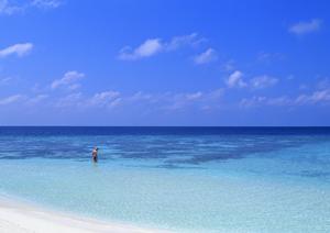 金沢の着物レンタルあかりの魅力