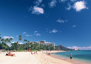 原宿駅前すぐにあるハリネズミカフェ