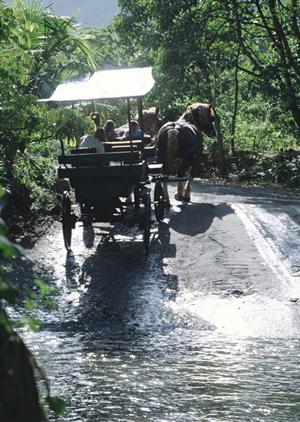 東京大手町にある快適なビジネス滞在が叶う「ホテル ヴィラフォンテーヌ東京大手町」の魅力と詳細情報